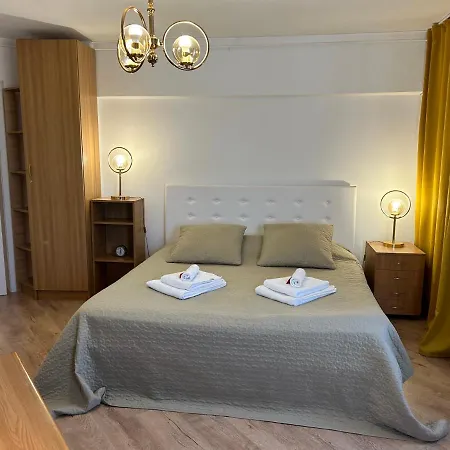 Apartment Aviatiei 4 *